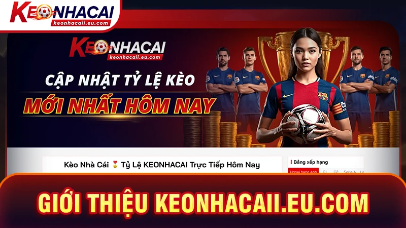 Giới thiệu 4-u.co - Trang dũ liệu bóng đá toàn diện 2026